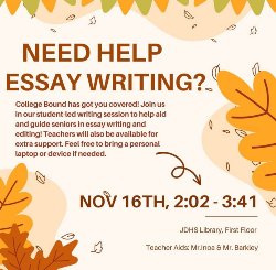 Essay